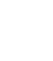 ice-skate