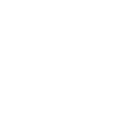 reindeer