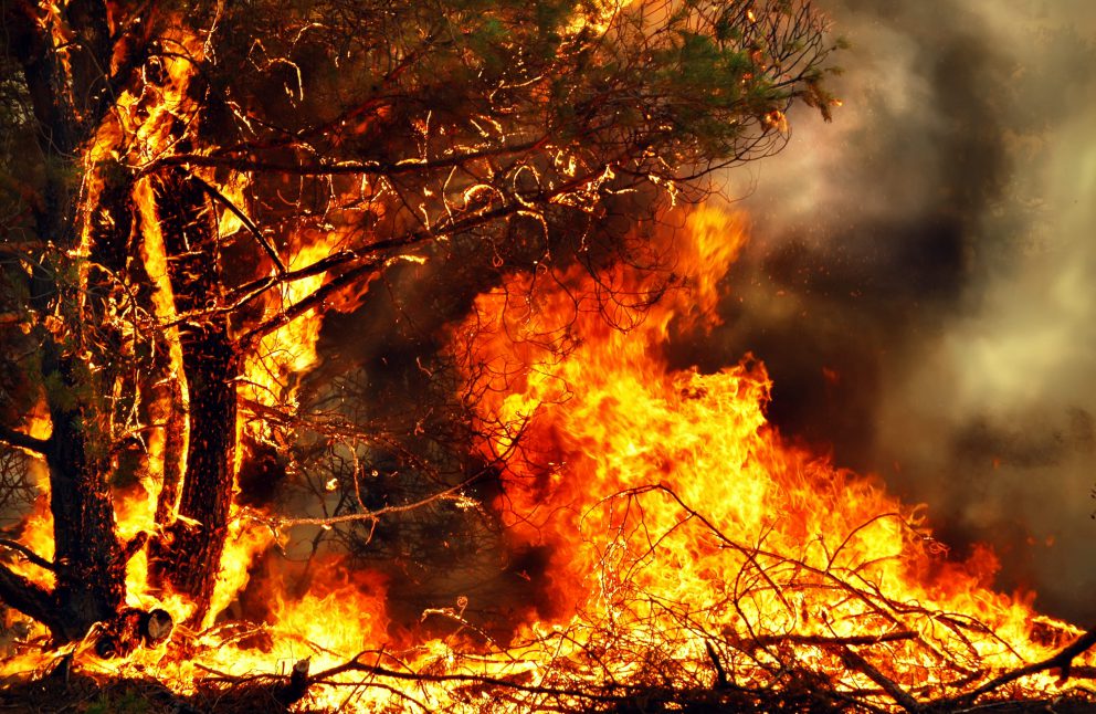 SOCIAL_VERSION_force_majuere_disaster_fire-min